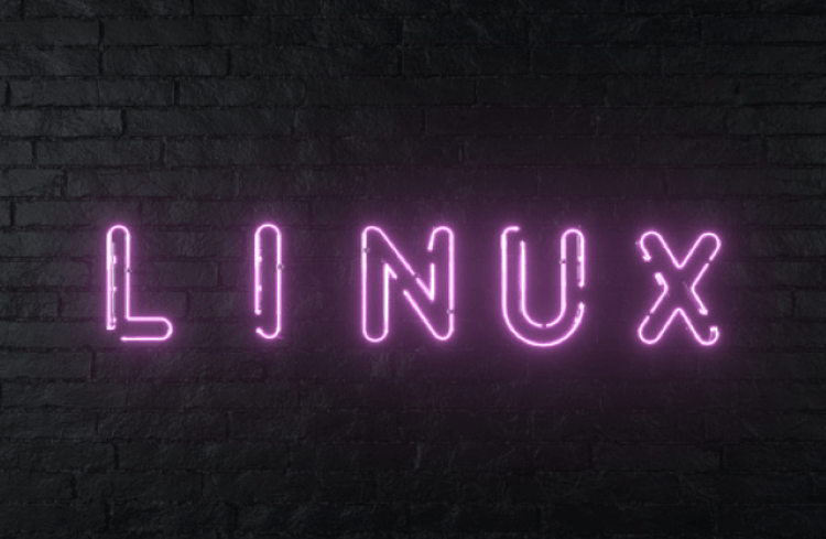 Why Is Linux Used For Website Building?