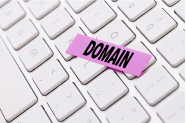 How To Find Domain Registration Information